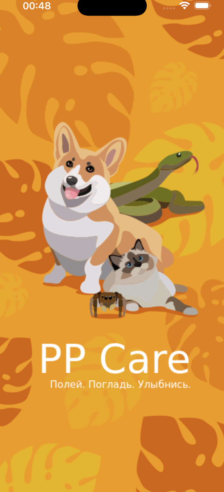PP Care — заставка
